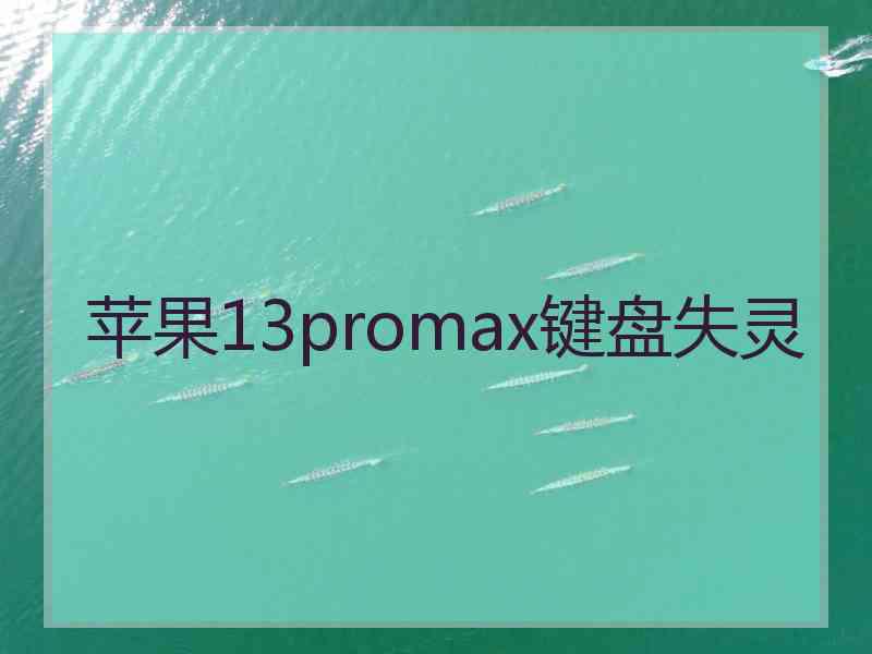 苹果13promax键盘失灵