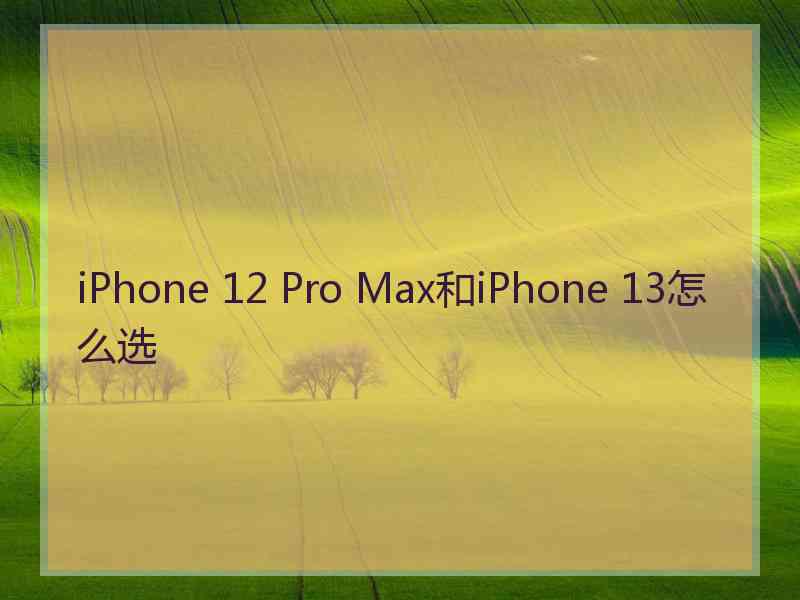 iPhone 12 Pro Max和iPhone 13怎么选