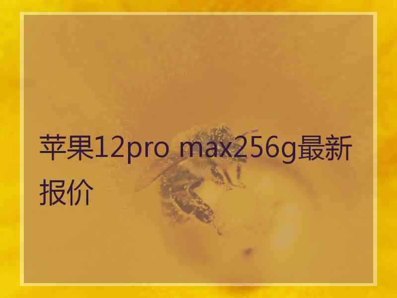 苹果12pro max256g最新报价