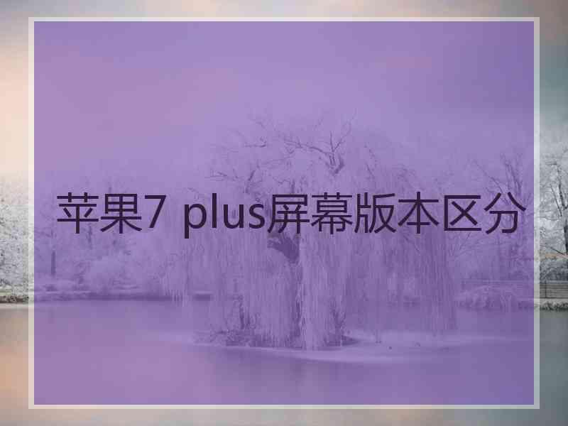 苹果7 plus屏幕版本区分