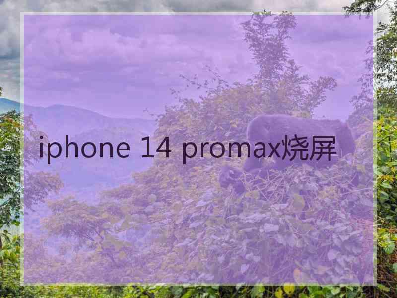 iphone 14 promax烧屏