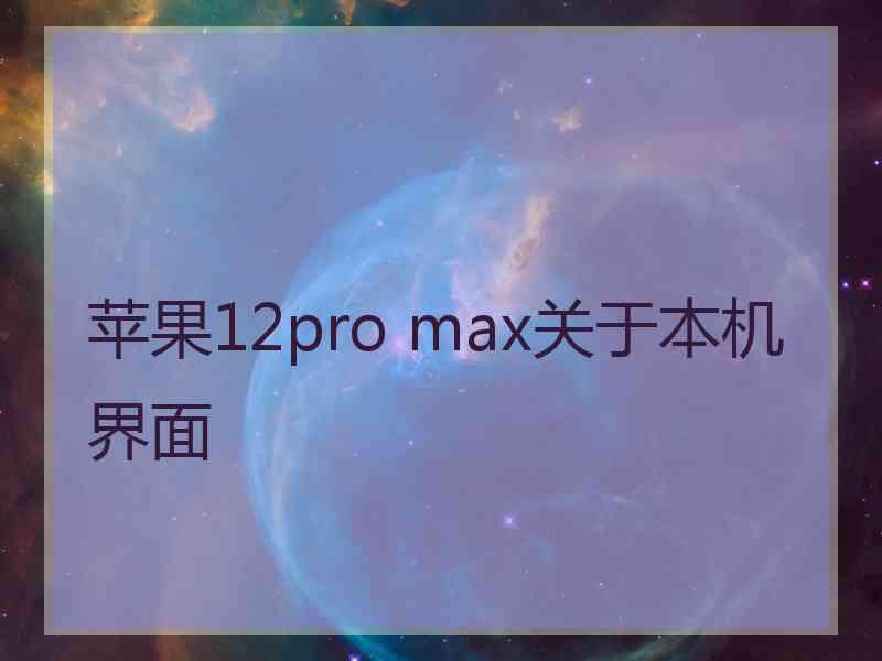 苹果12pro max关于本机界面