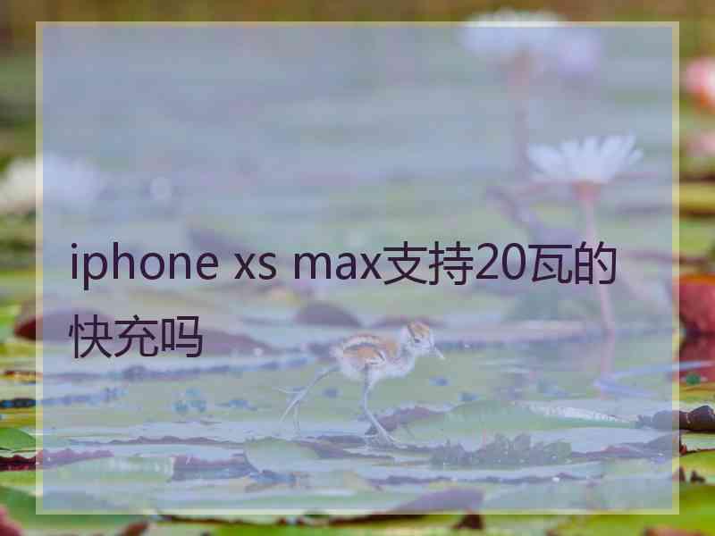 iphone xs max支持20瓦的快充吗