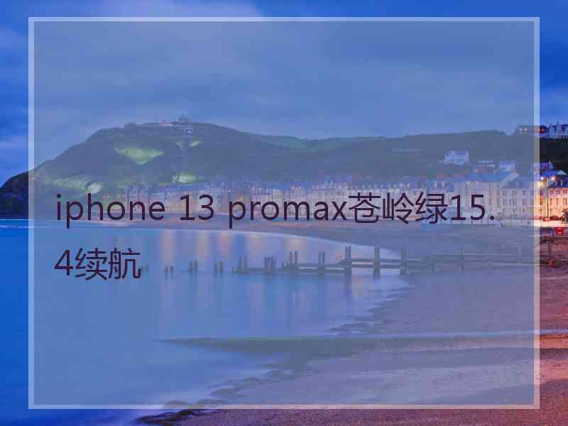 iphone 13 promax苍岭绿15.4续航