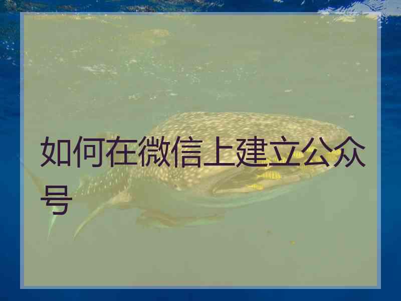 如何在微信上建立公众号