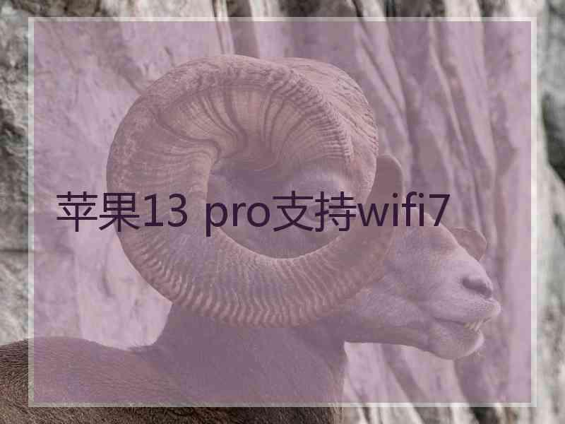 苹果13 pro支持wifi7