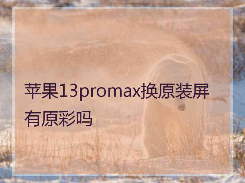 苹果13promax换原装屏有原彩吗