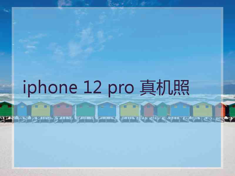 iphone 12 pro 真机照