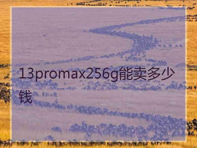 13promax256g能卖多少钱