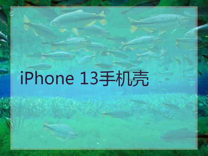 iPhone 13手机壳