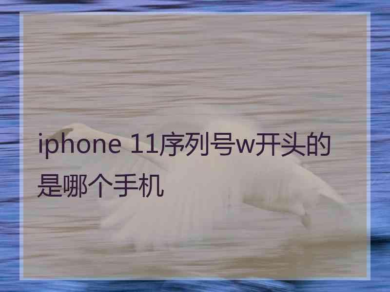 iphone 11序列号w开头的是哪个手机