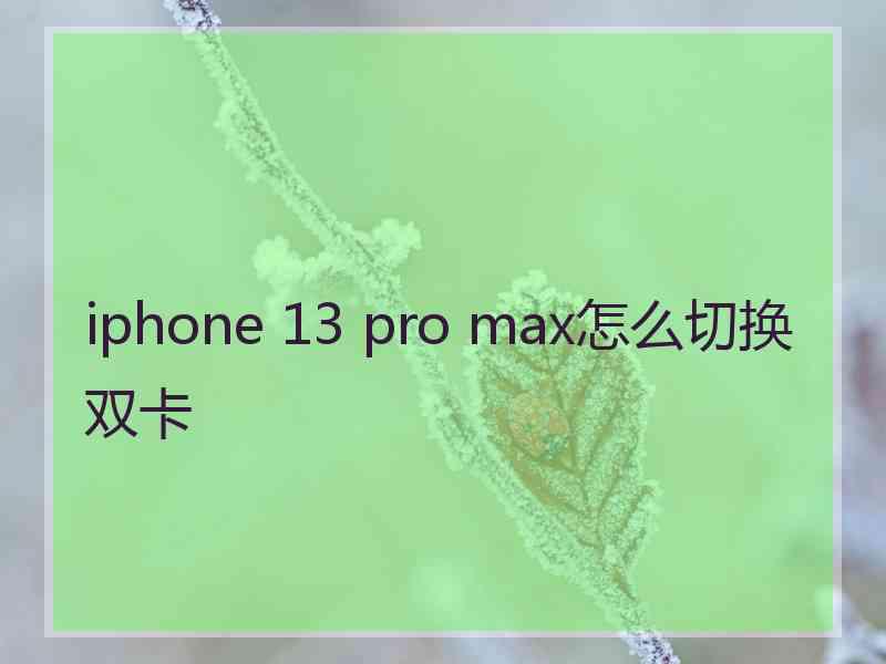 iphone 13 pro max怎么切换双卡