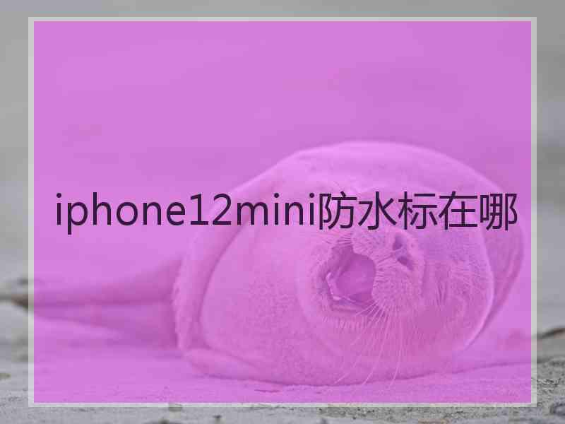 iphone12mini防水标在哪