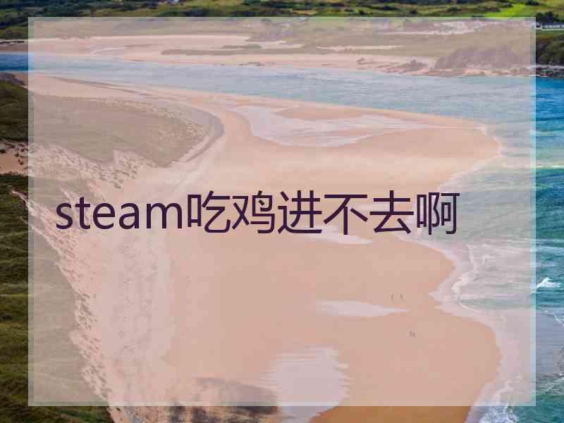 steam吃鸡进不去啊