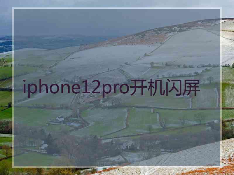 iphone12pro开机闪屏