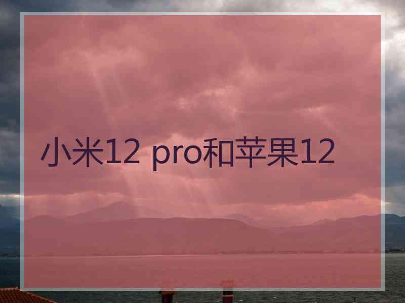 小米12 pro和苹果12