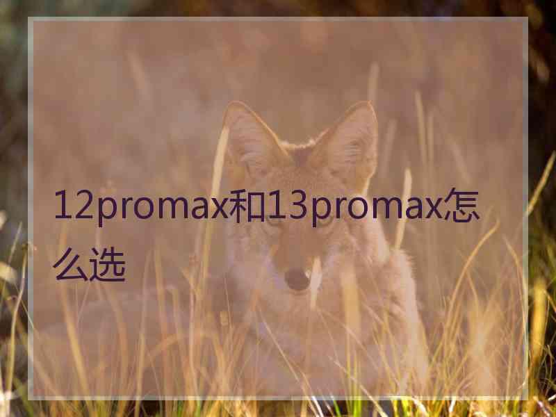 12promax和13promax怎么选