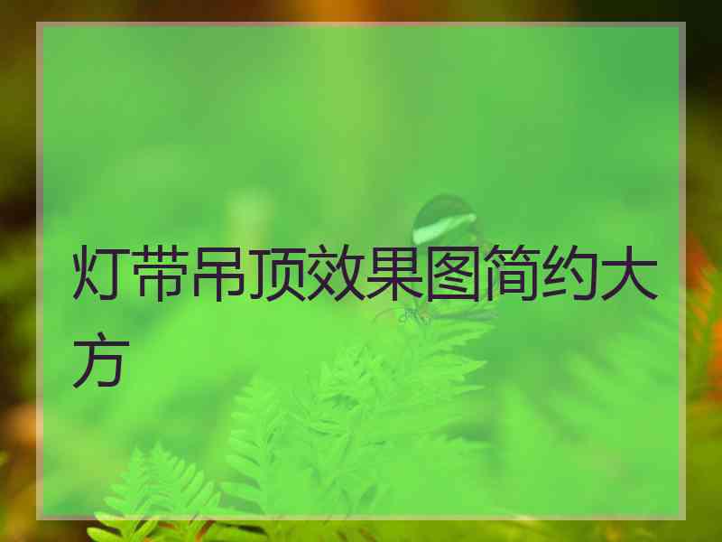 灯带吊顶效果图简约大方