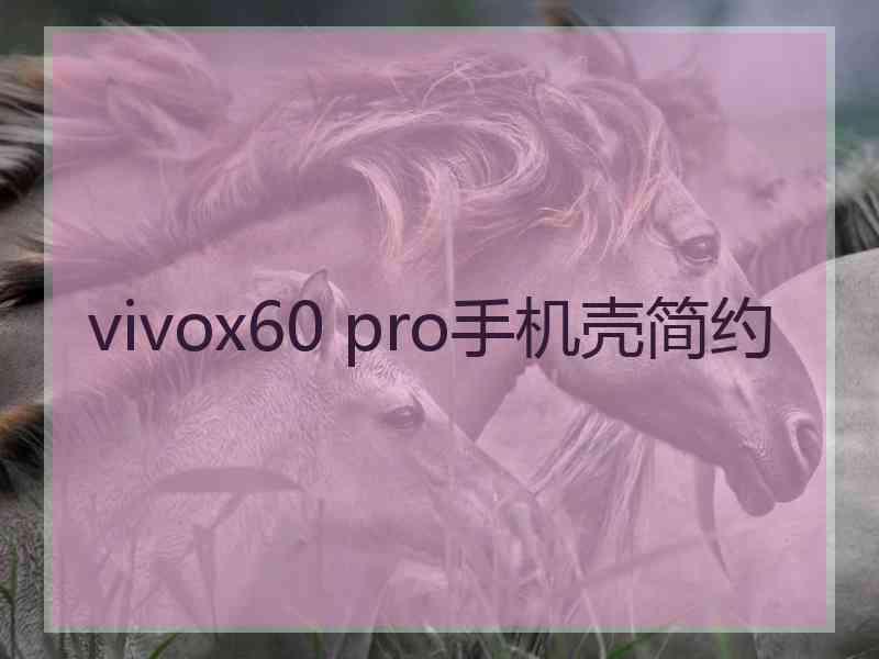 vivox60 pro手机壳简约