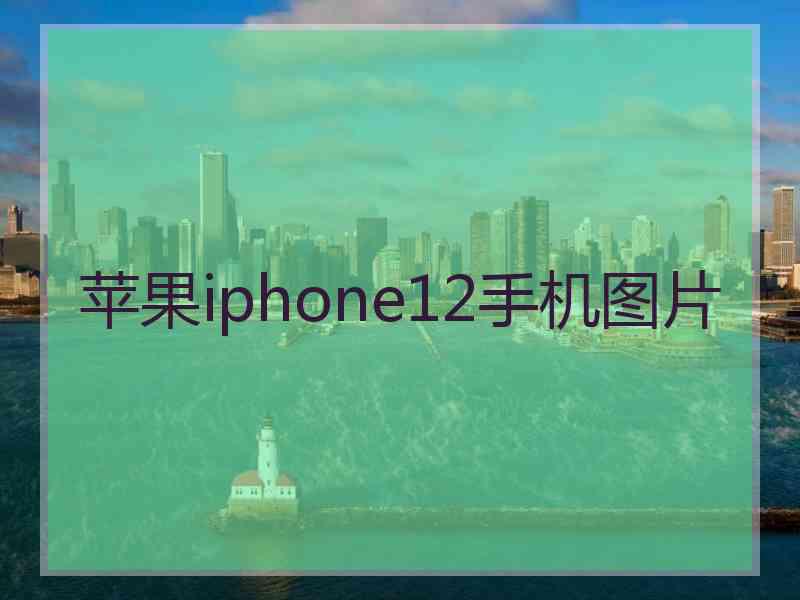 苹果iphone12手机图片