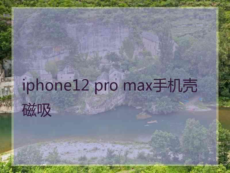 iphone12 pro max手机壳磁吸