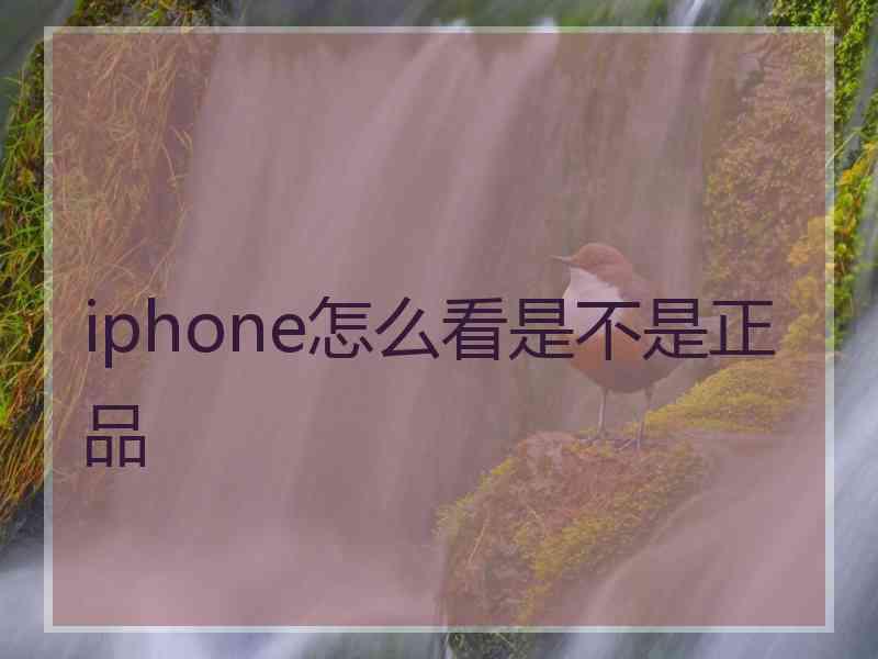 iphone怎么看是不是正品