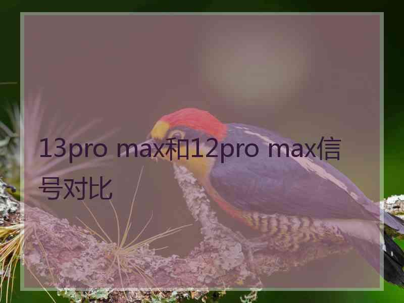 13pro max和12pro max信号对比