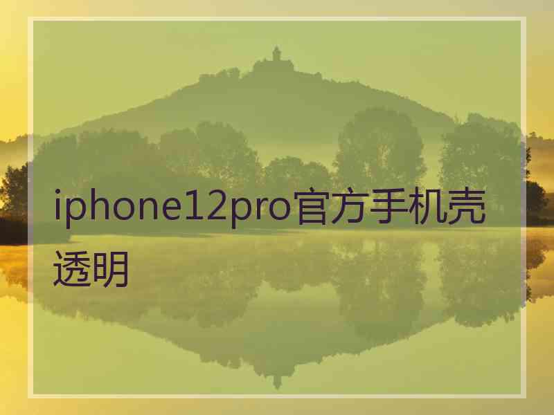 iphone12pro官方手机壳透明