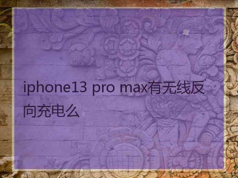 iphone13 pro max有无线反向充电么