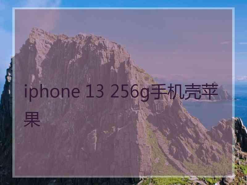 iphone 13 256g手机壳苹果