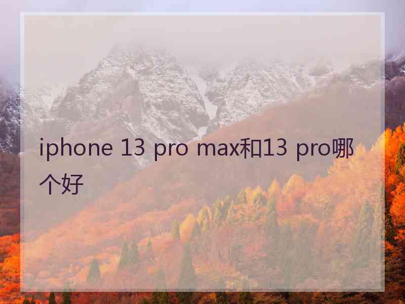 iphone 13 pro max和13 pro哪个好