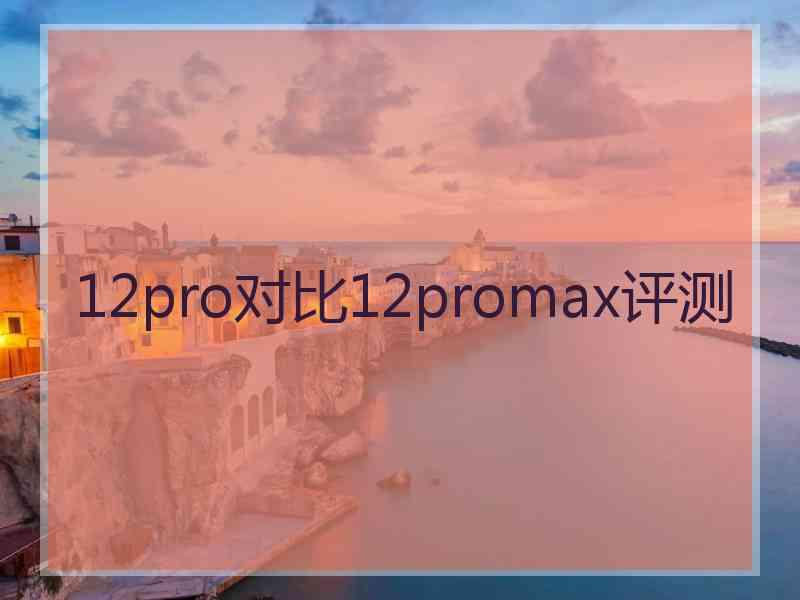 12pro对比12promax评测