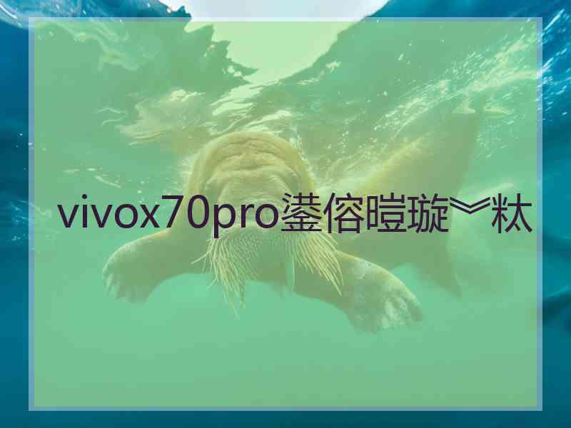 vivox70pro鍙傛暟璇︾粏