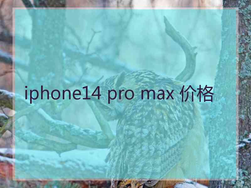 iphone14 pro max 价格