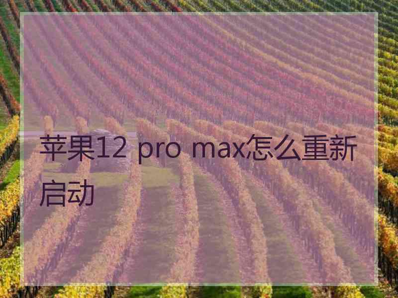 苹果12 pro max怎么重新启动