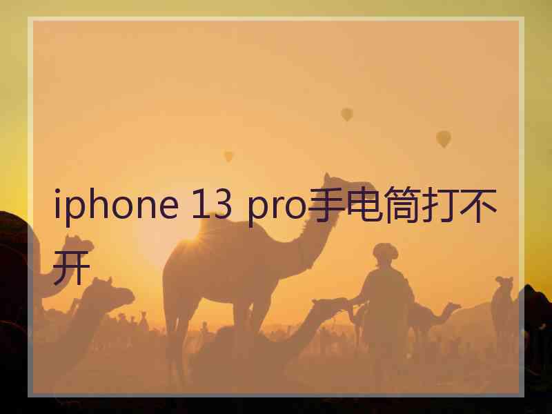 iphone 13 pro手电筒打不开