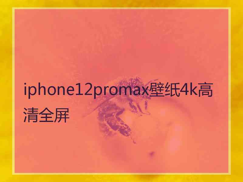 iphone12promax壁纸4k高清全屏