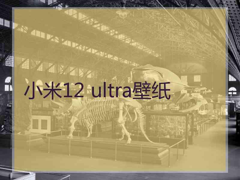 小米12 ultra壁纸