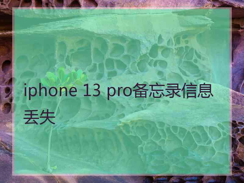 iphone 13 pro备忘录信息丢失