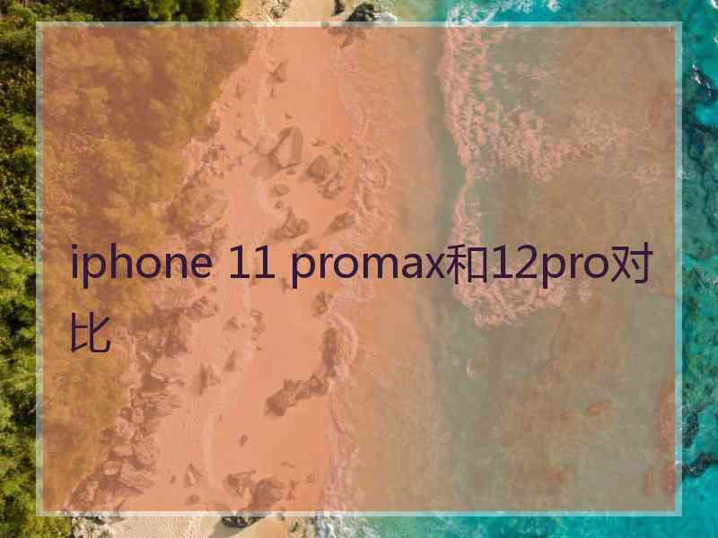 iphone 11 promax和12pro对比