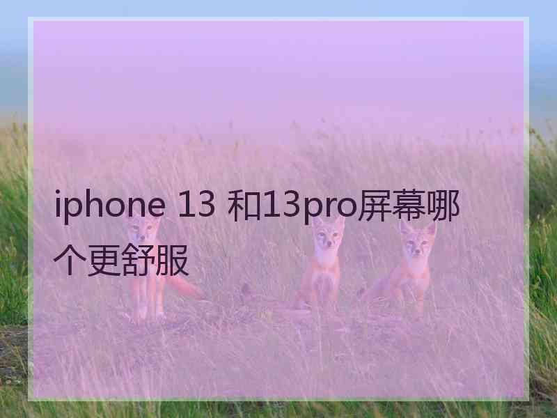 iphone 13 和13pro屏幕哪个更舒服