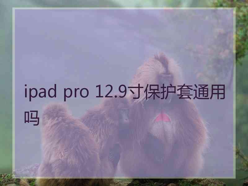 ipad pro 12.9寸保护套通用吗