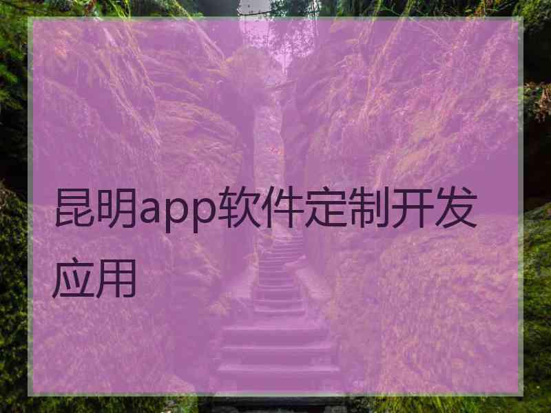 昆明app软件定制开发应用