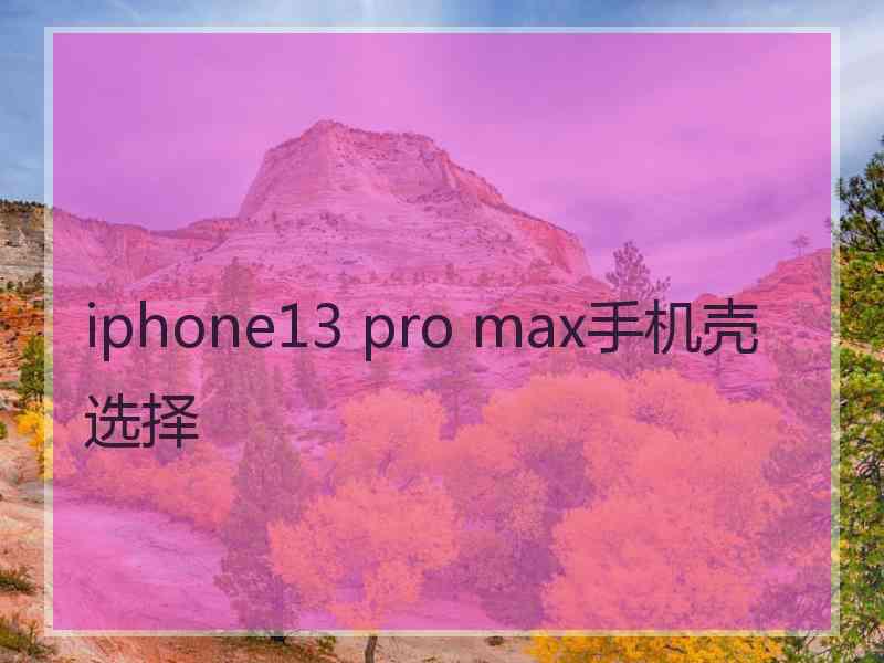 iphone13 pro max手机壳选择