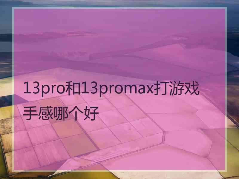 13pro和13promax打游戏手感哪个好