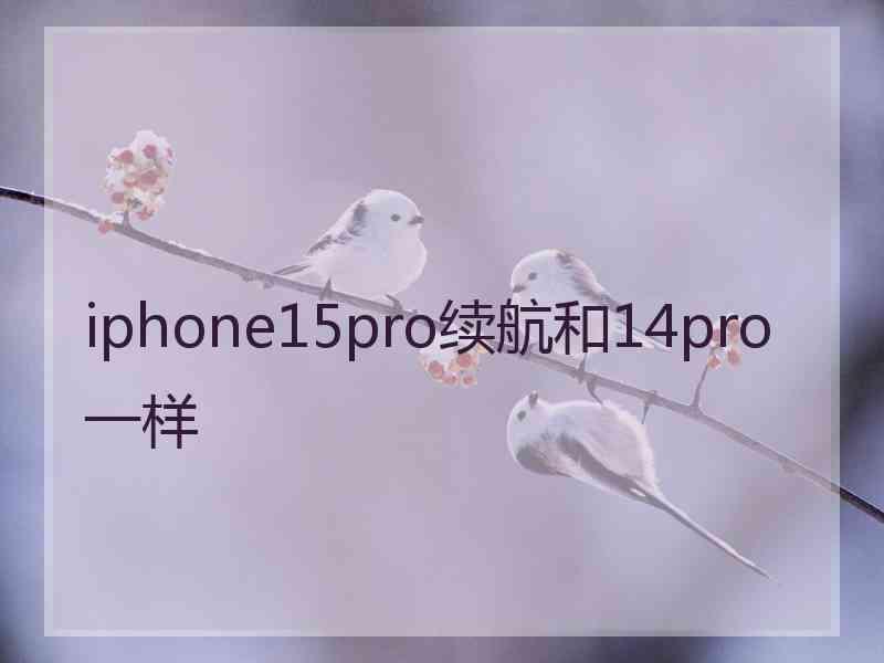 iphone15pro续航和14pro一样