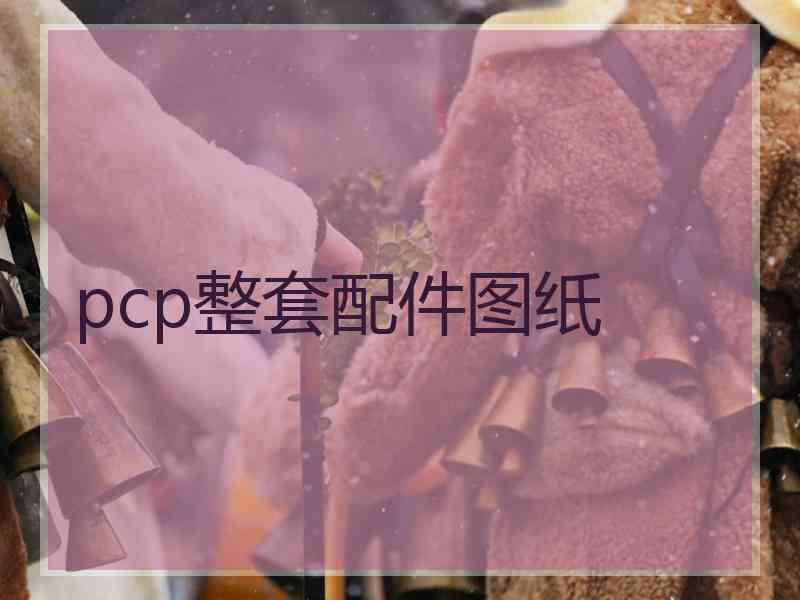 pcp整套配件图纸