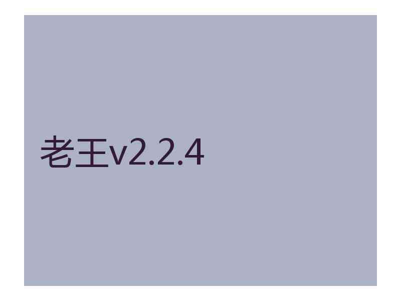 老王v2.2.4