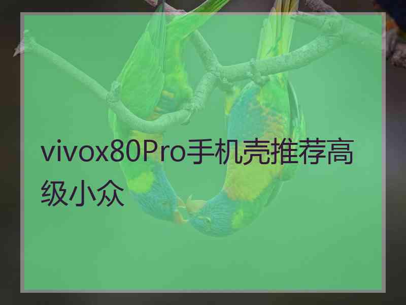 vivox80Pro手机壳推荐高级小众