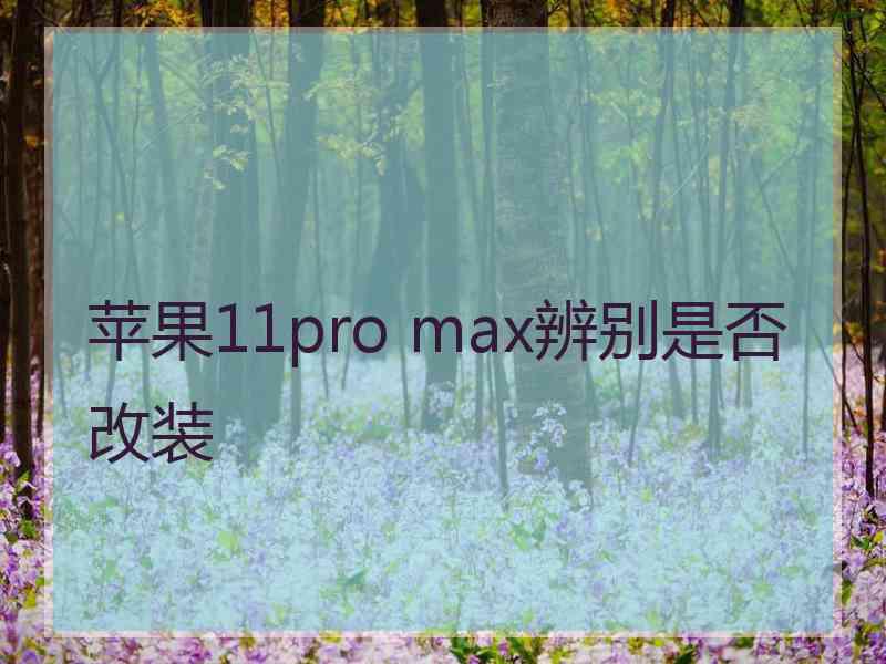 苹果11pro max辨别是否改装